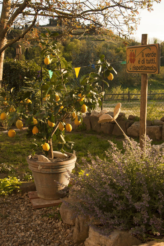 B&B Eridu Fiesole Exteriér fotografie